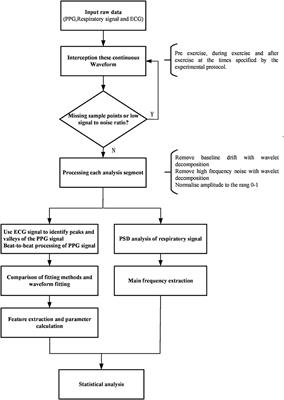 Evaluation of Cardiorespiratory Function During Cardiopulmonary Exercise Testing in Untreated Hypertensive and Healthy Subjects